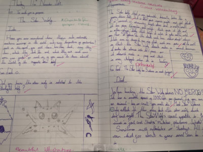 Image of Highlights from Year 6